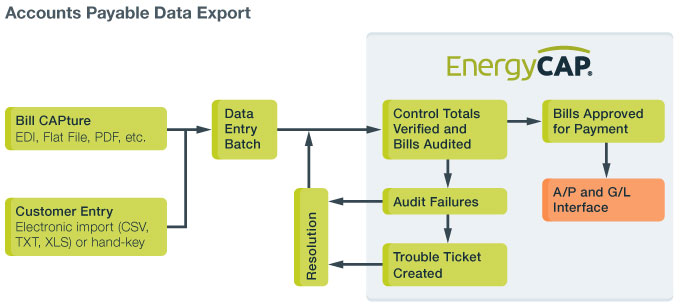 accountsPayableDataExport