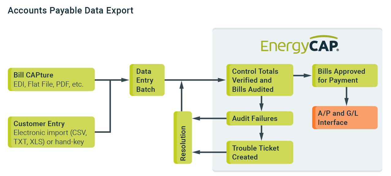 AccountsPayableDataExport-18