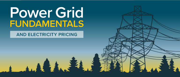 Power Grid Fundamentals and Electricity Pricing