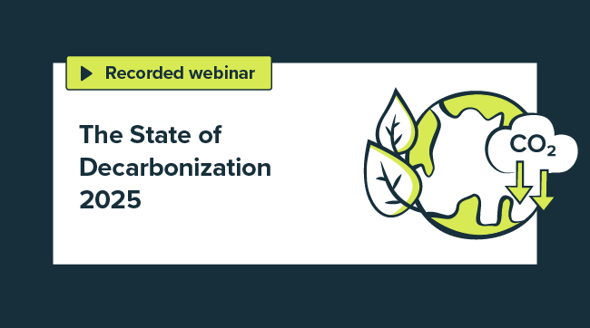 State of Decarbonization 2025