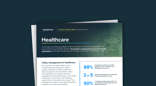 State of Utilities 2026 Executive Summary: Healthcare